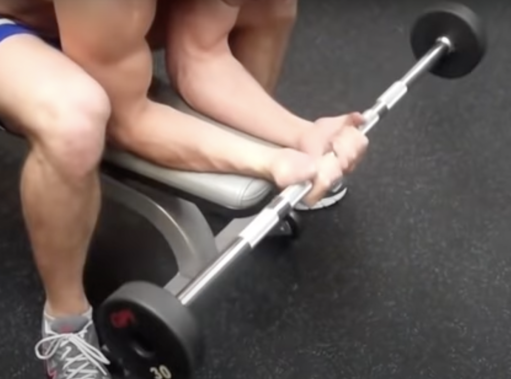 Seated Wrist Curl Exercise Guide