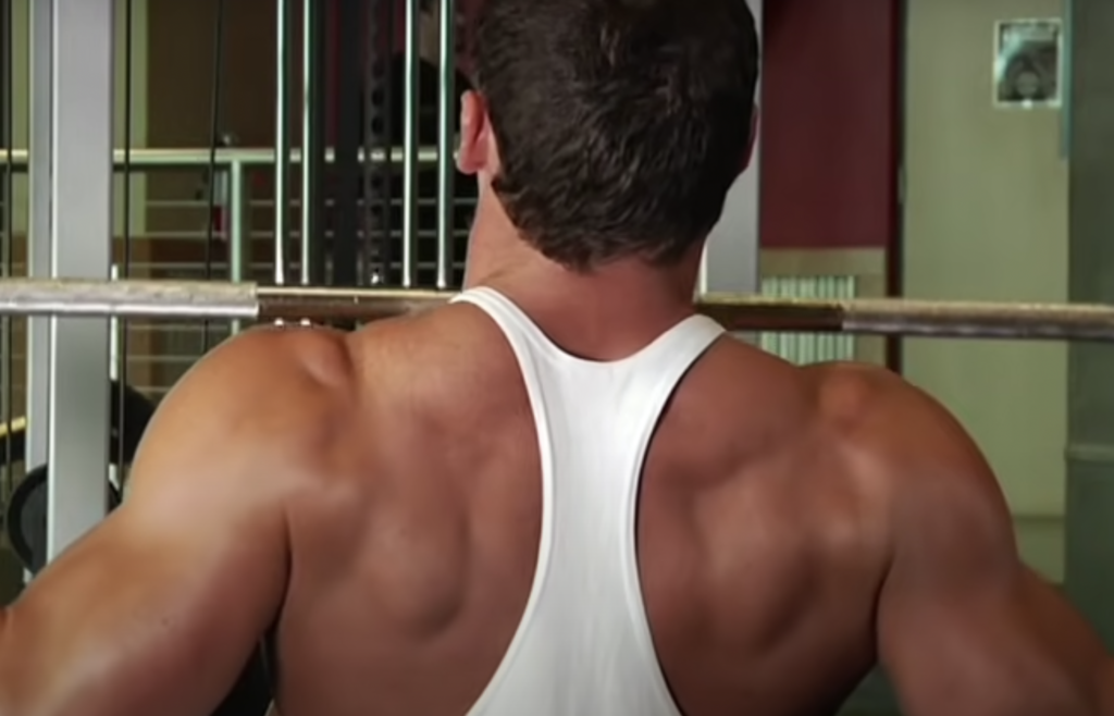 Lat Pulldown Exercise: Strong and Sculpted Back Muscles