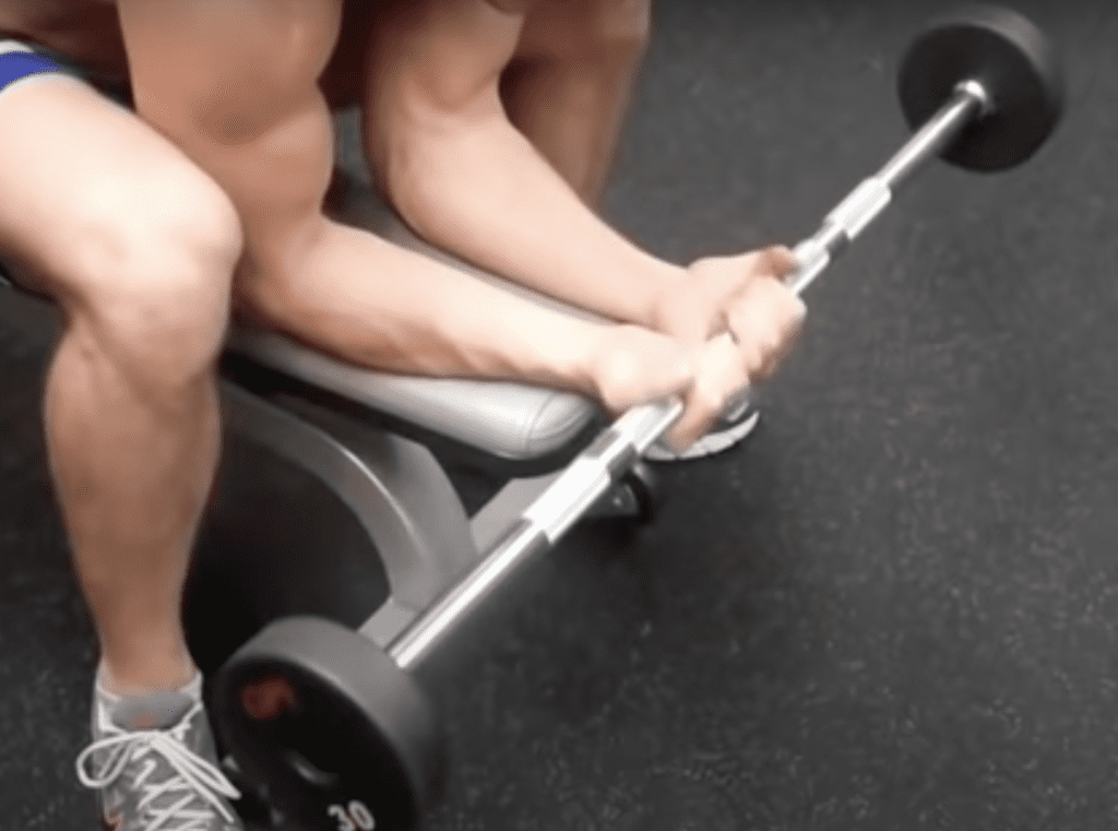 Seated Wrist Curl Exercise