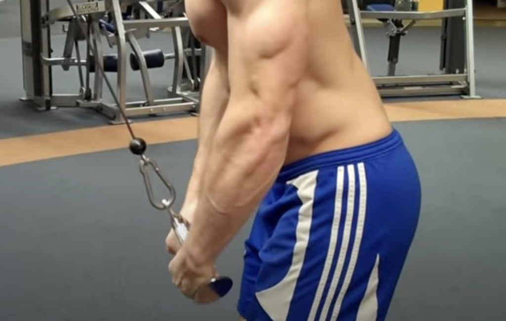 Tricep Pushdown Exercise
